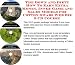 The Down and Dirty How To Earn Extra Money, Inner Game and Sales Models for Cotton Swabs Web Biz 3 CD Course