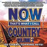 NOW That's What I Call Country Vol. 2
