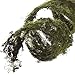 2 Decorative Spools of Wired Forest Moss Ribbon for Fairy Gardens, Terrariums, and Crafting