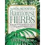 The Healing Power of Rainforest Herbs: A Guide to Understanding and Using Herbal Medicinals