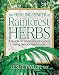 The Healing Power of Rainforest Herbs: A Guide to Understanding and Using Herbal Medicinals