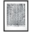 Victoria Hagan Perfect Pieces Pine Forest in the Snow Framed Art