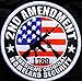 Original Homeland Security 2nd Amendment M4 Musket Patch