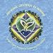 Harmonic Gateways to Healing:  Guided Vocal Toning for Balancing the Chakras