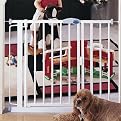 Metal Auto-Close Safety Gate - White