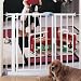Baby : Metal Auto-Close Safety Gate - White