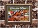 Dream Race: The Search for the Greatest Thoroughbred Race Horse of All-Time by Robert Clark