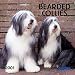 Bearded Collies 2001 Calendar