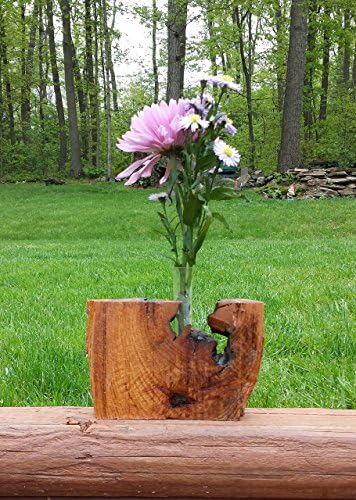 Nature's Way - Wooden Natural Flower Vase