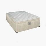 Plush Mattresses