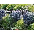 Lavendelduft 2012: Farbbilder mit Duft beim Dr�berstreichen