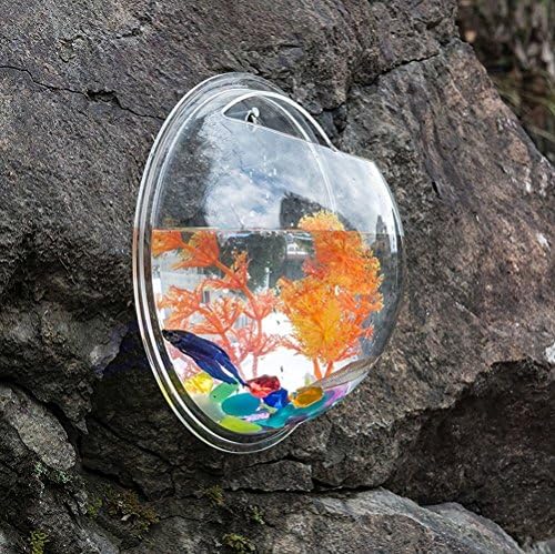 New Home Decoration Pot Plant Wall Mounted Hanging Bubble Bowl Fish Tank Aquarium "Clear 23cm"Set15