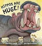 Hippos Are Huge!