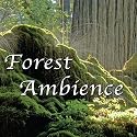 Rain Showers, Thunder, Waterfalls for Massage Therapy & Tai Chi