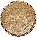 Cut Timber Dessert Plate (7