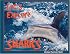Let's Explore Sharks (Let's Explore)