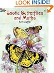 Exotic Butterflies and Moths