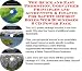 Search : The Quick and Easy Promotion, Godfather Principles and Accounting & Finance for Safety Deposit Boxes Web Businesses 3 CD Power Pack