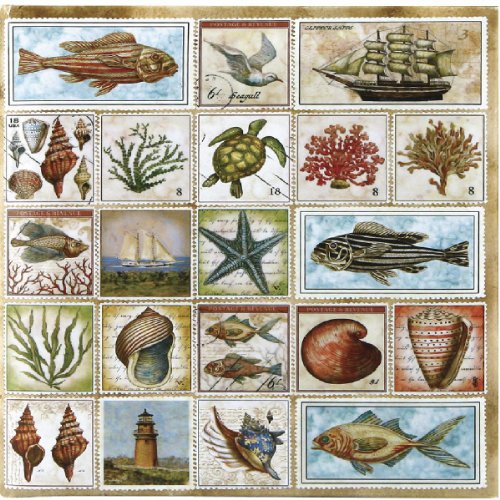 Best Cheap C.R. Gibson, Tim Coffey Refillable Address Book, Nautilus (A1-10141)