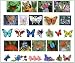 Butterfly Clip Art & Stock Photo Images