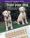 Train Your Dog