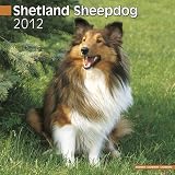 Shetland Sheepdog 2012 Wall Calendar #10071-12