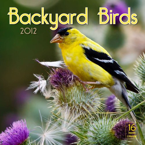 2012 Backyard Birds Wall calendar