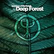 Essence of the Forest