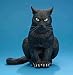Sitting Cat Latex Halloween Prop (B665)