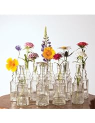 Home: Luna Bazaar Small Vintage Glass Bottle Set (6.5-Inch, Square Design, Clear, Set of 12) - Flower Bud Vases Bulk - For Party and Wedding Centerpieces - Cultural Intrigue