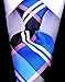 Scott Allan Tartan Plaid Tie for Men | Men's Blue & Black Ties Gingham Plaid Necktie for Him | Corbatas Para Hombre Elegantes tela escocesa