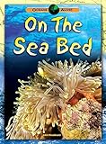 On the seabed