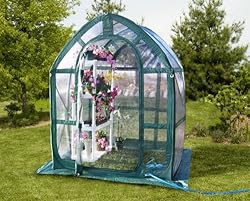 Flower House FHPH155CL PlantHouse 2 Pop-Up Plant House, Clear