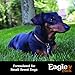 Eagle Pack Natural Dry Small Breed Dog Food, Chicken & Pork, 30-Pound Bag