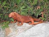 Eigenschaften Bali/Thailand  / Dekofigur Waran Leguan Echse Eidechse aus Holz 20 cm