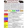 Hom�opathie-Karte f�r Kaninchen und Meerschweinchen DIN A5: Tierheilkunde Karte