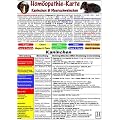 Hom�opathie-Karte f�r Kaninchen und Meerschweinchen DIN A5: Tierheilkunde Karte