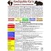Hom�opathie-Karte f�r Kaninchen und Meerschweinchen DIN A5: Tierheilkunde Karte