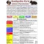 Hom�opathie-Karte f�r Kaninchen und Meerschweinchen DIN A5: Tierheilkunde Karte