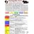 Hom�opathie-Karte f�r Kaninchen und Meerschweinchen DIN A5: Tierheilkunde Karte