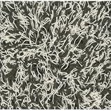 Super Shag Zebra Shag Rug Size: 10 x 14