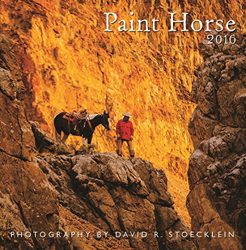 2016 Paint Horse Wall Calendar