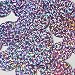 Round Flat Sequin 20mm Center Hole Light Lavender Hologram Glitter Sparkle. Couture Paillettes. Made in USA