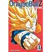 Dragon Ball Z, Vol. 6 (VIZBIG Edition) (Dragonball Z (Vizbig Paperback))