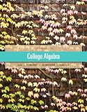 College Algebra Plus NEW MyMathLab with Pearson eText-- Access Card Package (11th Edition)