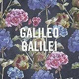 嵐のあとで (Galileo Galilei)