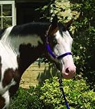 Perri's Leather Nylon Safety Halter Replacement Crown Piece