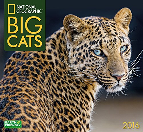Big Cats National Geographic 2016 Wall Calendar