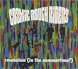 Revolution (In The Summertime?)