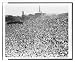 Historic Print (L): [Crowd at Distinguished Flying Cross festivities, on the Mall, wi...